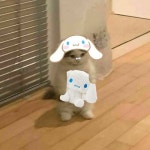 - это все энджин моего канала (=ㅇ༝ㅇ=)❕ - это все энджин моего канала (=ㅇ... 