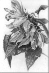 Pin page çiz에 있는 Dilan Batı님의 핀 | 드로잉 기법, 드로잉, 그림 그리기