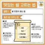 쌀맛나는세상동 | 윤기 좌르르 꿀맛나는 쌀 고르는 꿀팁 윤기 좌르르 꿀맛나는 쌀 고르는 꿀팁 - 지식사이트 | 쌀, 음식, 윤기