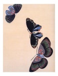 Pin page Pin von MARIE auf 민화