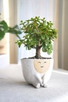 앤공방 분 - 다육화분(Succulent Pot) 앤공방 분 - 다육화분(Succulent Pot) - 2025 | 도자기 화분, 도자기, 화분