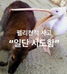 Pin page 사람들은 형태 없는 사랑에 목숨도 걸고 재산도 건다 | Meant to be quotes, Cool words, Unique words definitions