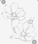 원리를 이해하면 스케치가 정확해 집니다. / 기초소묘, 연필드로잉, Basic pencil drawing 원리를 이해하면 스케치가 정확해 집니다.... 