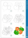 ㅡㅡㅡㅡㅡㅡㅡㅡㅡㅡ .오전  화.목  10시반 .… | Watercolor flower art, Flower art painting, Flower drawing