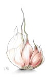 Pin page Pin by 연하(烟霞) on 산수화 | Japanese art, Art prints, Illustration art