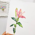 사진 설명이 없습니다. | 꽃그림, 식물 세밀화, 색연필 그림