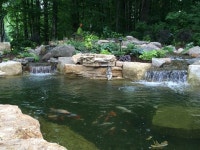 Pond renovation project #pondstars | 조경