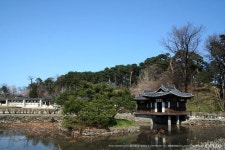 (강원) 강릉 l 양지바른 언덕의 강릉 선교장 | Architecture old, Architecture, Beautiful