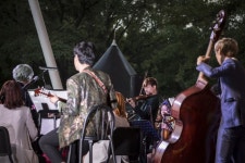 2017  #outdoor #festival #music #concert #SFJF2017 #Jazz #디어재즈오케스트라 #contrabass #electric_guitar #jazz … | 뮤직... 