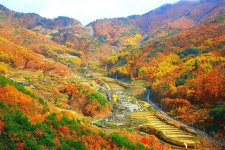 한국 가을산 단풍