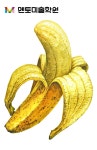 바나나 기초디자인, 바나나개체묘사