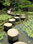 25 best pond images on Pinterest | 천연 수영장, 농장 및 연못 pond