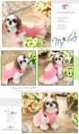 ★ JunyBell 펫 뷰티 패션 브랜드샵 쥬니벨  Pet fashion beauty shop JunyBell♥ | 강아지 옷, 패션, 애견