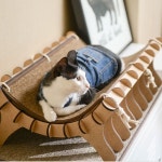 Pin page - 냥이와 집사님들을 위한 네꼬모리의 키티 스테이... 네꼬모리의 곡선 베드 위에 스크래쳐 기능이 있는 카페트 매트를 더해... 