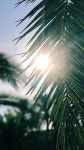 Fondos에 관한 9개의 최상의 Pinterest 이미지 | 배경화면, 아이폰 월페이퍼 및 휴대폰 배경화면 Fondos