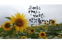 [캘리그라피] 아이패드프로로 쓰는 캘리그라피 : 네이버 블로그 - 2020 | 손글씨, 블로그