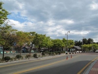 달맞이고개 - 가장 아름다운 월출을 볼 수 있는 곳, 해운대 달맞이언덕 | 아름다운