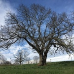 Our farm에 있는 Clara님의 핀