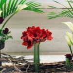 성주간의 첫째 날인 ‘주님 수난 성지 주일’은 예수 그리스도께서 파스카 신비를 완성하시려고 예루살렘에... | 꽃꽂이, 꽃, 성당