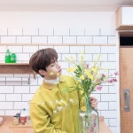 . [#시온] 요즘따라 왜 이렇게 꽃이 좋지?! 우리 투문들처럼 아름다워서 그런가~?!! 달님들 달님들~ 요즘 날씨가 따듯해지고 있어요... 