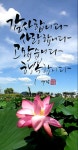 감사합니다 사랑합니다 고맙습니다 행복합니다