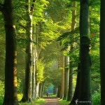 FOLLOW ME ON FACEBOOK  PRINTS AND… | 자연 사진, 자연, 풍경 사진