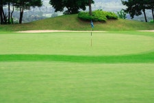 Golf(골프) 042 PHO060, 프리진, 사진, 풍경, 운동, 한국, 골프클럽, 골프, 취미, 장비, 골프가방, 아이언, 필드, 잔디, 골프장, 스크린, 골프채... 