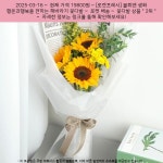 2025-03-16 ~ 19800원 ~ [로켓프레시] 블뤼엔 생화 행운과행복을 전하는 해바라기 꽃다발 Pin on 쇼핑_