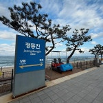 처음 가본 정동진 #정동진역