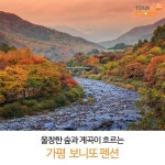 울창한 숲과 계곡이 흐르는 가평 보니또 펜션 울창한 숲과 계곡이 흐르는 가평 보니또 펜션 | 여행, 가족 여행, 자연