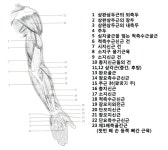 ▒ 탁구인의 쉼터, 탁구인의 산책로. 핑퐁조아 ▒