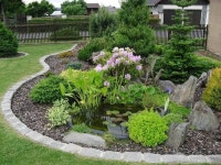 입석-Bild von 박선희 | Garten, Garten ideen, Steingarten