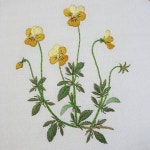Embroidery Brazilian Viola  아직 세탁 전이라 먹지 자국이 보이네 ^.* | Brazilian embroidery, Embroidery patterns, Learn embroidery