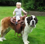 믿음직한, 신용할 수 있는, 충실한 명사 [n] 1. 믿을 만한 사람, 신용할 수 있는 사람 2. 모범수 | 거대한 개, 귀여운 개, 큰 개