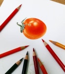 보태니컬아트 스페이스림 space-lim(@artspacelim) • Instagram 사진 및 동영상