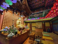 유여-buddhism~에 있는 핀