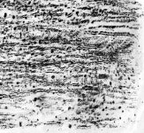 t117 B texture 김지혜 45