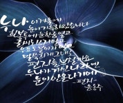 세실캘리에 있는 현아 유님의 핀 - 2023