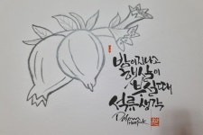 캘리에 있는 봄시미님의 핀