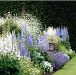 Gardening의 최고 인기 이미지 28개 | 수직정원, 작은 정원 및 조경 Gardening