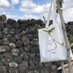 우무 umu（@jeju.umu）• Instagram 相片與影片 | Reusable tote bags, Bags, Dessert shop