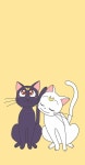 달빛 고양이 Moon cat