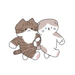 고양이다방 on Instagram: “나란히 나란히🤹... Pets 고양이다방 on Instagram: “나란히 나란히🤹‍... 