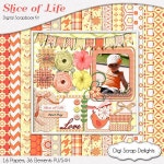 Slice of Life Digital Scrapbook Kit by DigiScrapDelights on Etsy | 그림