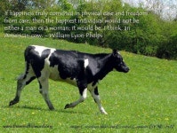 Cows...에 관한 13개의 최상의 Pinterest 이미지 | 소, 농장 및 농장 동물 Cows...