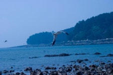 CRW_1470 | 출처: hwarangp