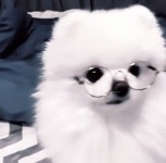 와 가스라이팅 극혐이다