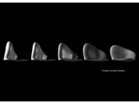 ZAHA-HADID. vo-022 | 자하 하디드