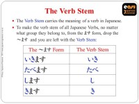 Basic Verb Conjugations - Easy Japanese Grammar | 日本語