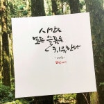 시간은 모든 슬픔을 치유한다시간은 모든 슬픔을 치유한다.- 키케로 -소담. 2017. | 손글씨, 명언, 영감을 주는 인용구